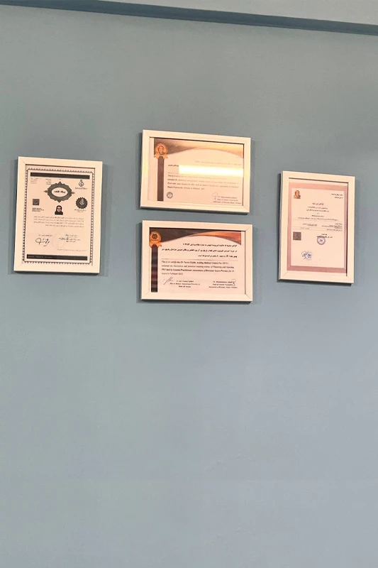 DR.PARISA ZABIHI Medical degree